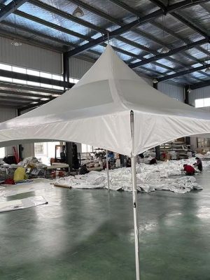 Peak Marquee Tents For Sale (2)